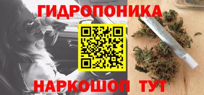 гидропоника Коммунар