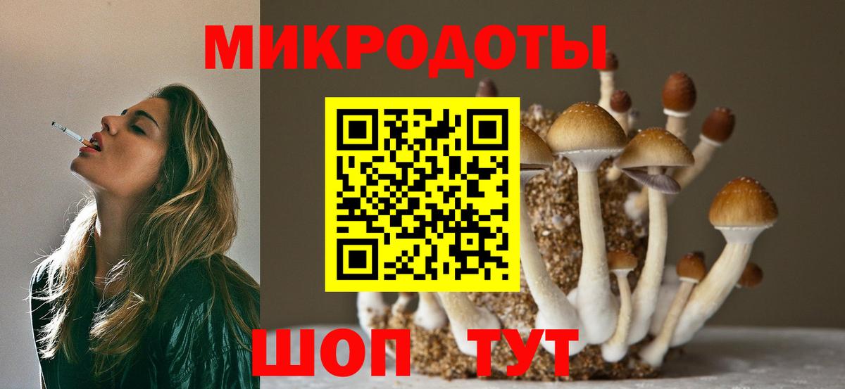 Псилоцибиновые грибы MAGIC MUSHROOMS  Вход с VPN  Вологда 